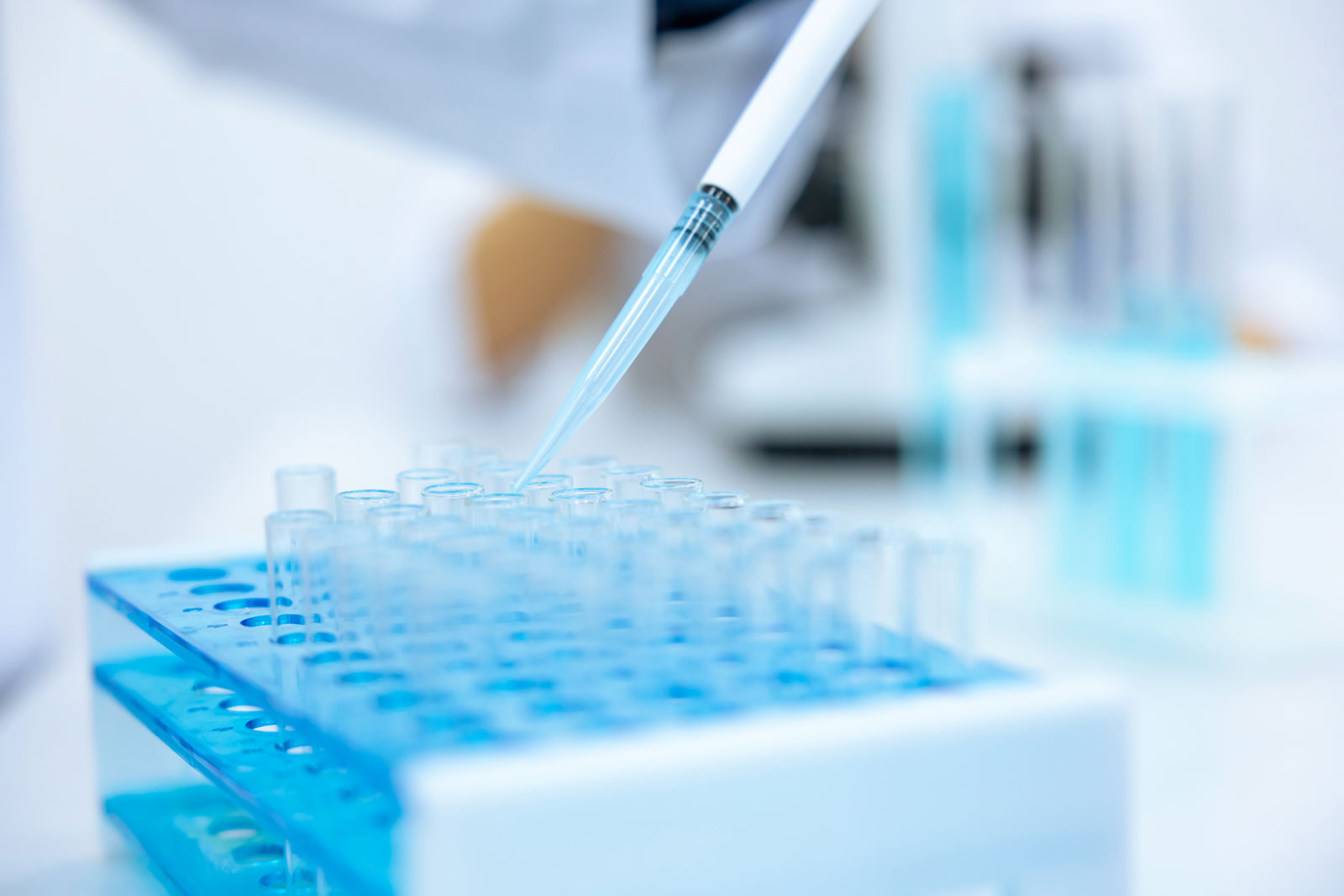 Wissenschaftliche Untersuchung